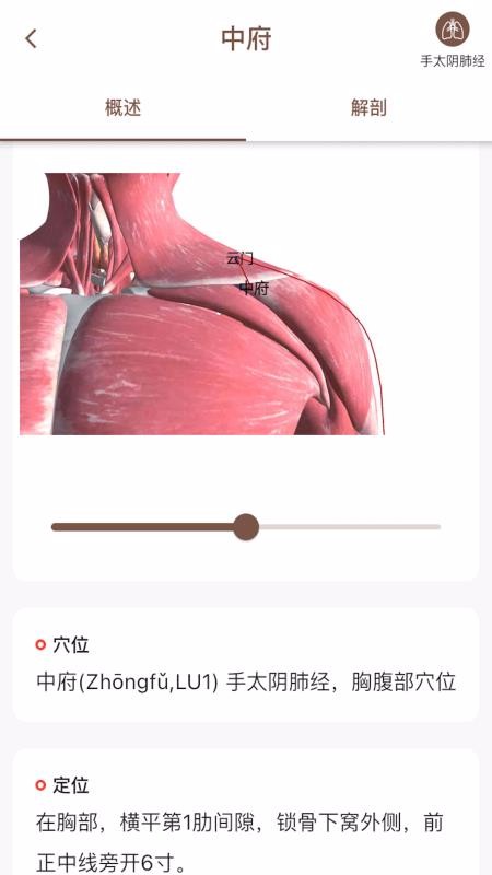 經(jīng)絡(luò)穴位3D