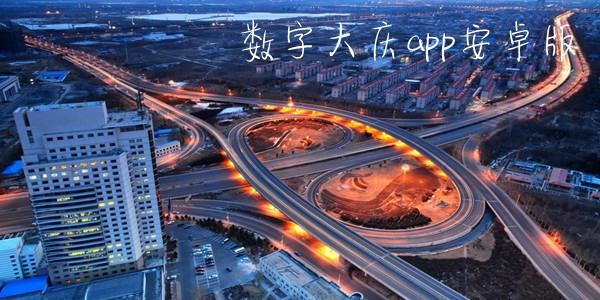 數(shù)字大慶app安卓版