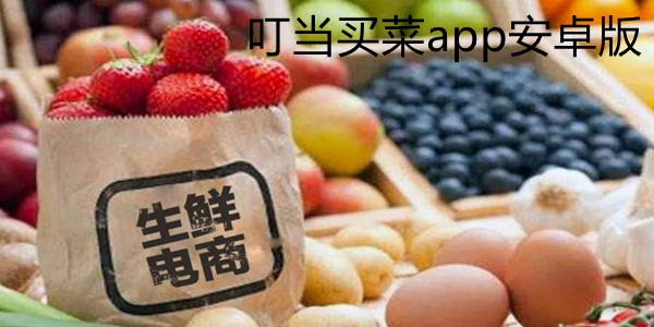 叮當(dāng)買菜app安卓版