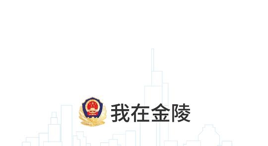 寧歸來金陵網證人臉認證官方版