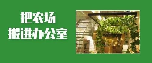 芒農(nóng)務(wù)助app最新版