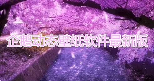 企鵝動態(tài)壁紙軟件最新版(Dynamic Wallpaper)