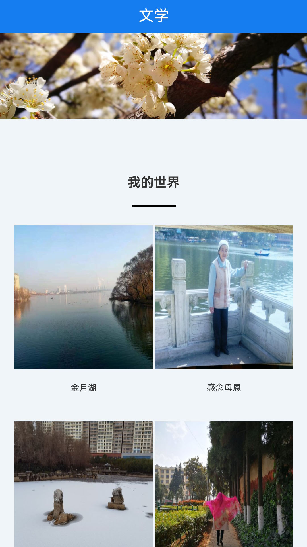 宣威之窗新聞最新版