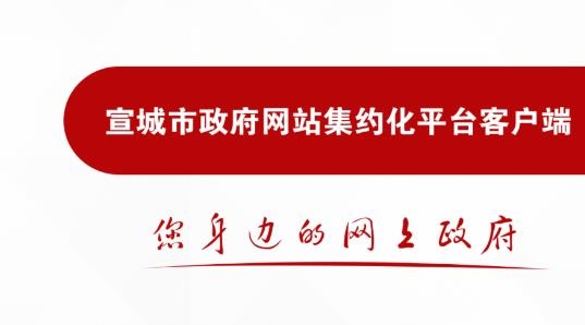 宣城市政府信息公開網(wǎng)手機(jī)版