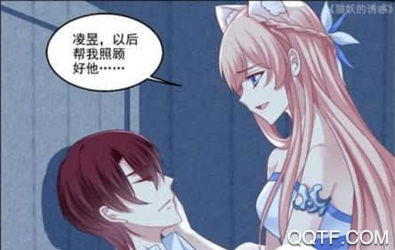 菠蘿飯app最新版