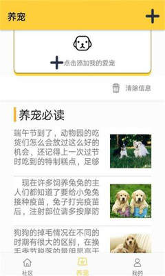 波奇奇寵物