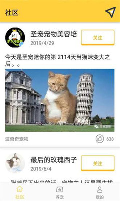 波奇奇寵物