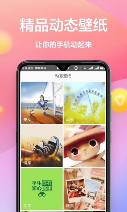 動態(tài)壁紙主題最新版