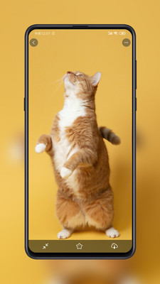 紙?zhí)潜诩?> </li>
              <li id=