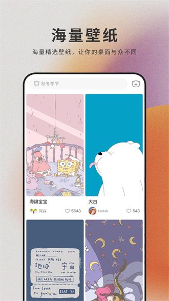 萌貓桌面壁紙