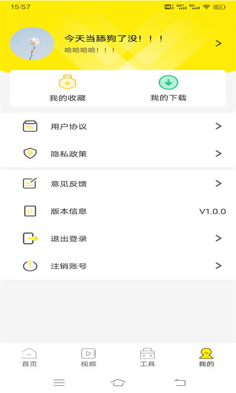 四季視頻壁紙最新版
