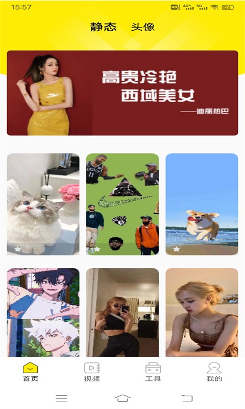 四季視頻壁紙最新版