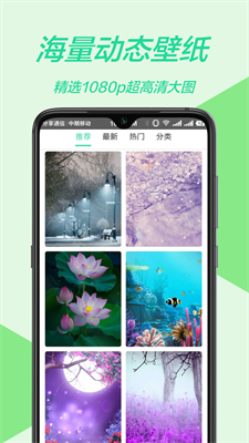 黃油壁紙大全