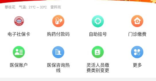 攀枝花智慧醫(yī)保官方版
