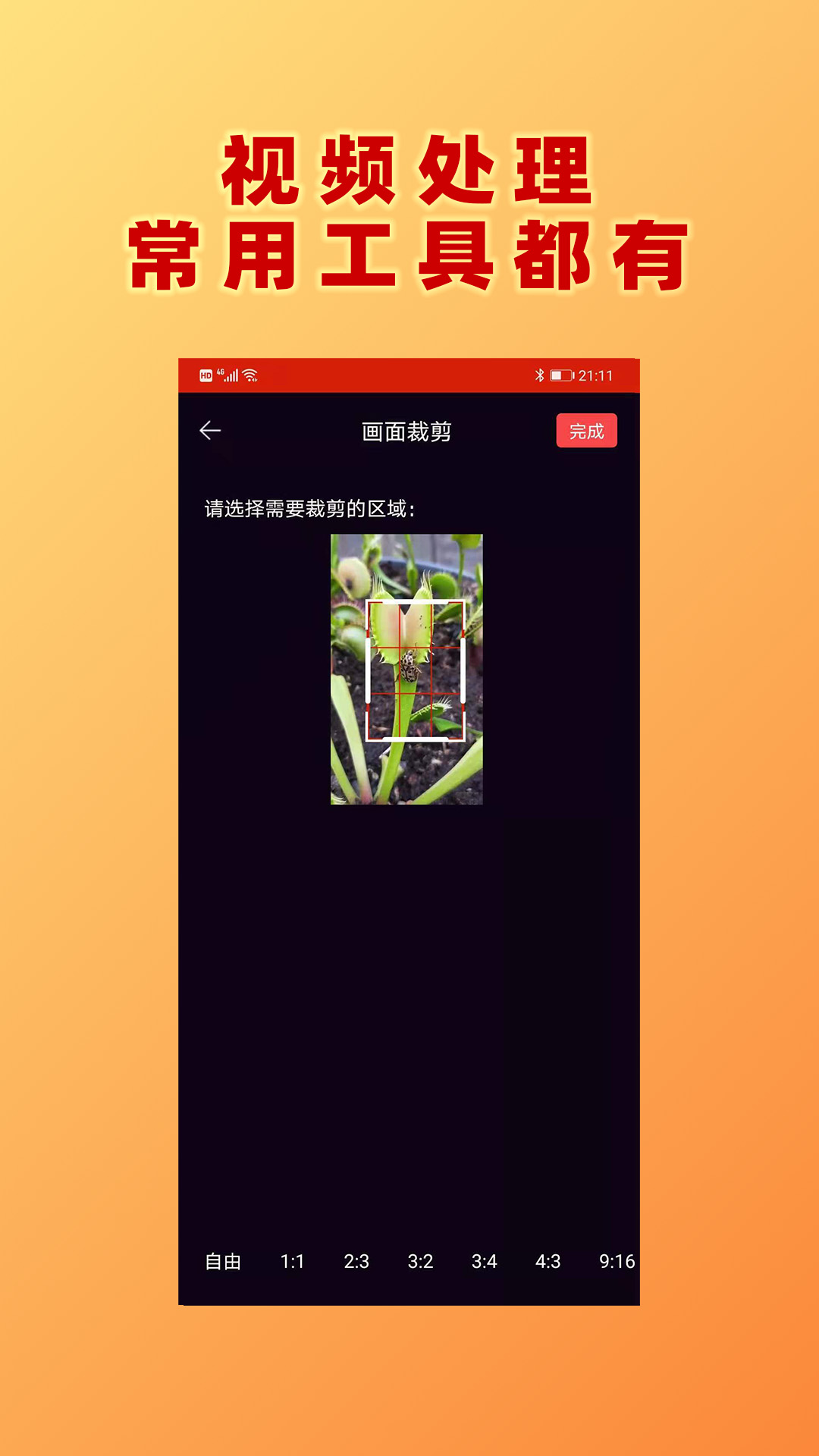 視頻加文字app安卓版