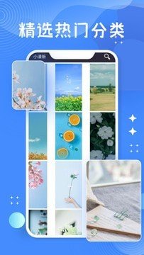 托卡世界壁紙