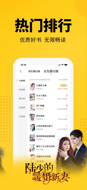 七貓小說