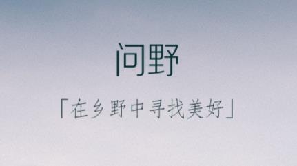 問野app手機(jī)版