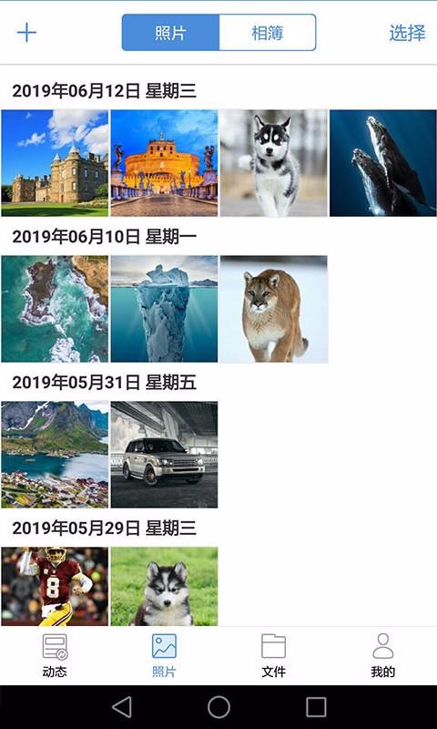 貝殼寶