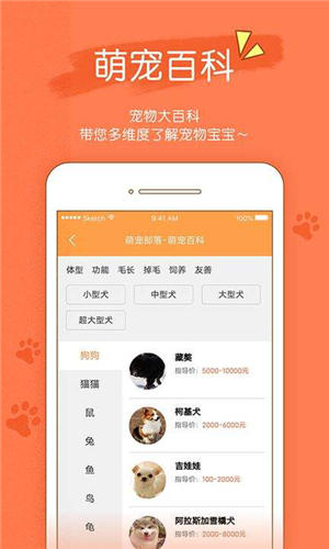 寵物部落最新版