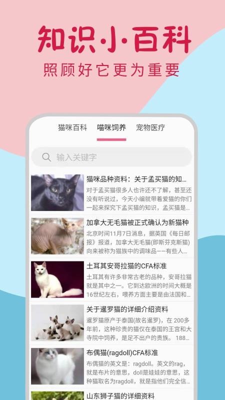 小貓翻譯器