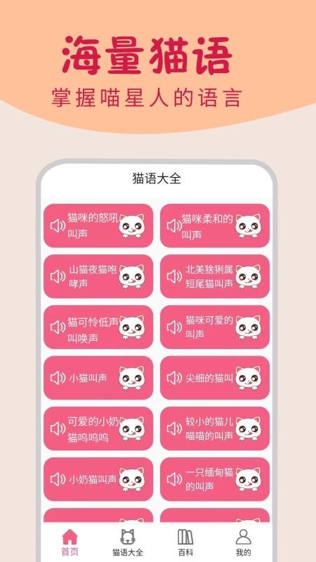 小貓翻譯器