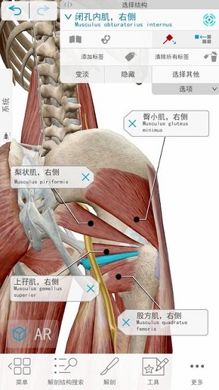 2021人體解剖學(xué)圖譜ios版本