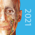 2021人體解剖學(xué)圖譜ios版本