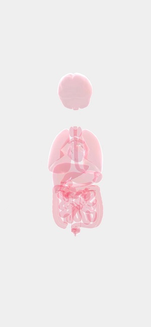 life生命軟件