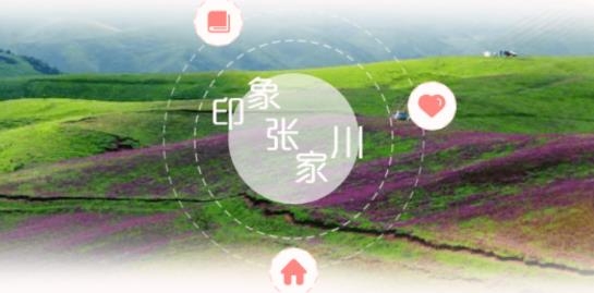 印象張家川app最新版