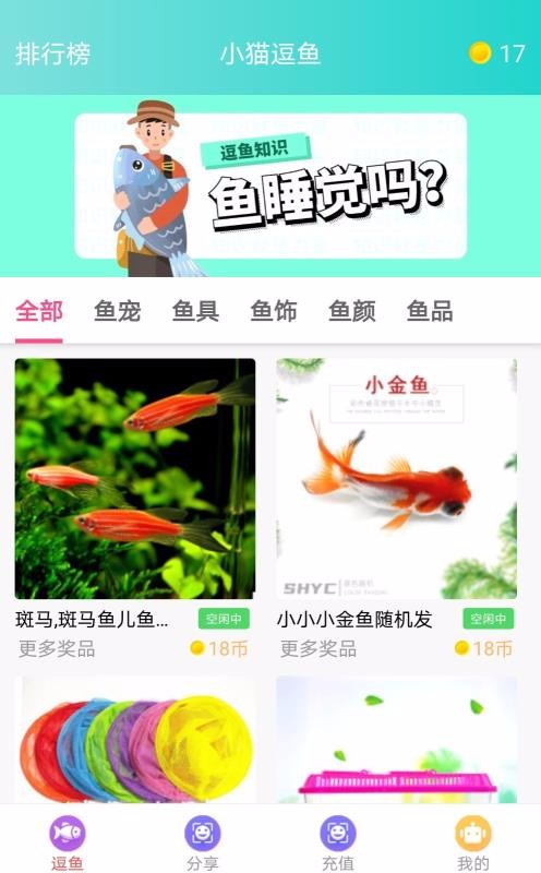 小貓逗魚