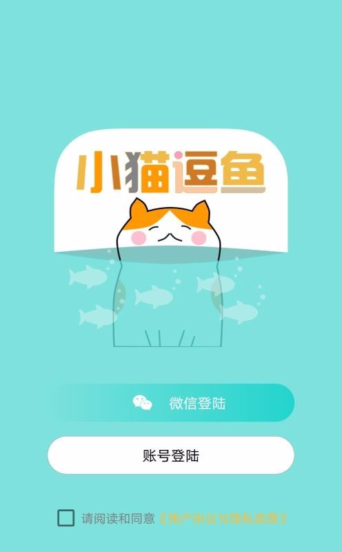 小貓逗魚