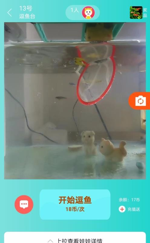小貓逗魚
