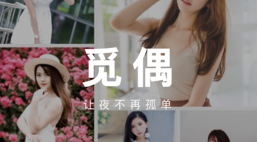 覓偶交友安卓版