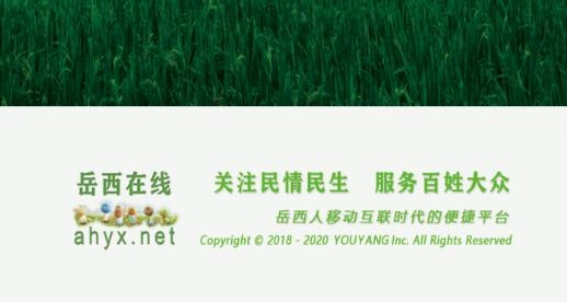 岳西在線家園網(wǎng)最新版