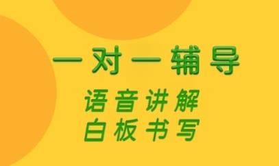 先問1對(duì)1作業(yè)輔導(dǎo)app安卓版