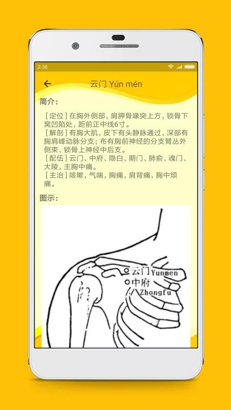 人體穴位圖解