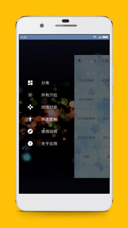 人體穴位圖解