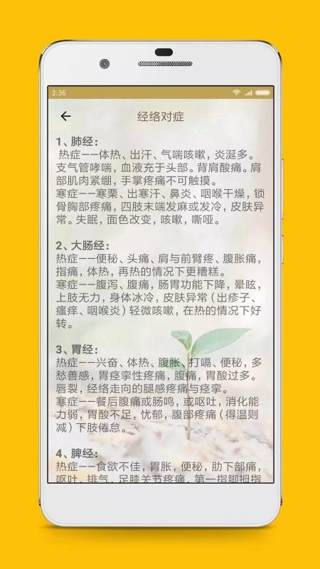 人體穴位圖解