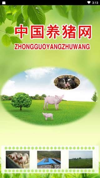 中國養(yǎng)豬網(wǎng)手機版