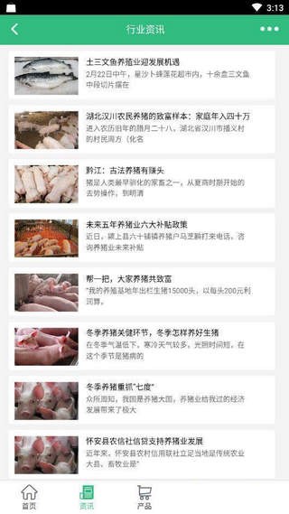 中國養(yǎng)豬網(wǎng)手機版