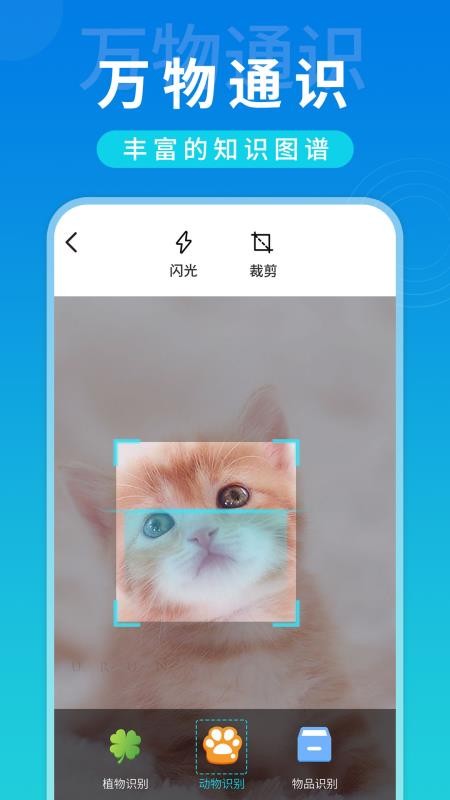 全局掃描