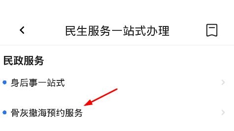 穗好辦骨灰撒海預(yù)約服務(wù)平臺