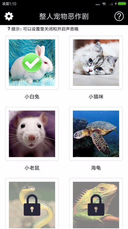 整人寵物惡作劇
