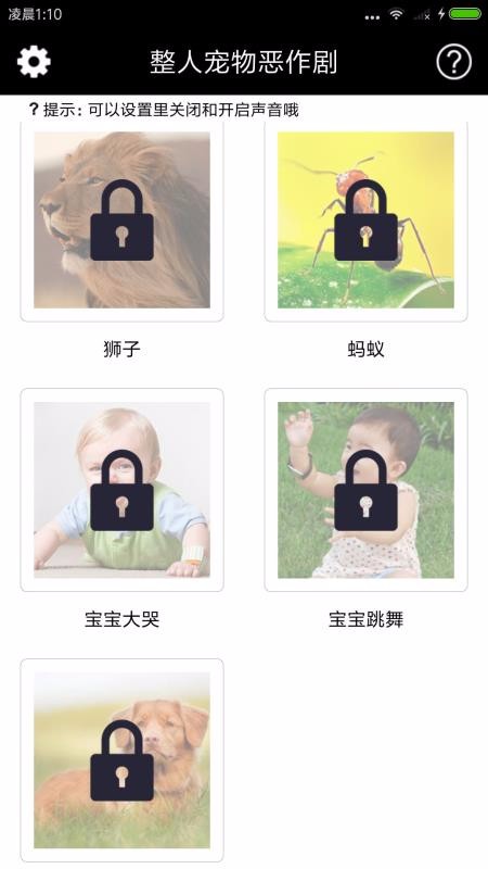 整人寵物惡作劇