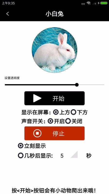 整人寵物惡作劇