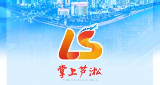 掌上蘆淞app最新版