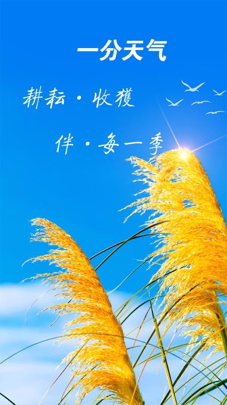 一分天氣