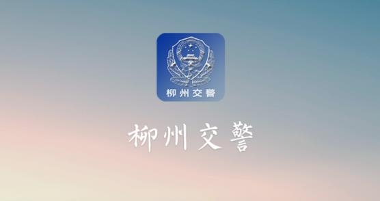 柳州交警違章查詢app安卓版