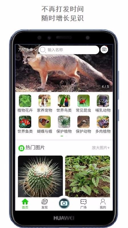 萬物頭條